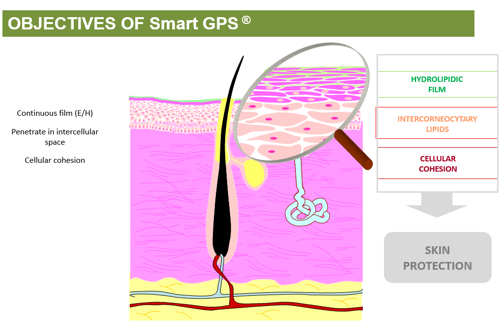 Новинки INNOAESTHETICS с технологией Smart GPS